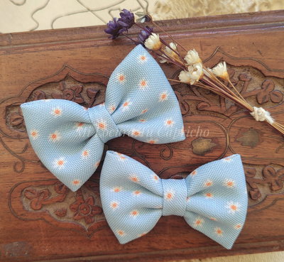 Florcita mini fondo celeste