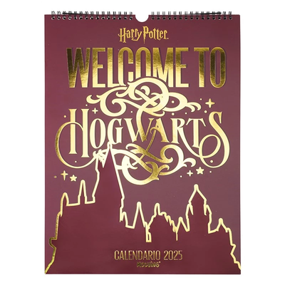 CALENDARIO 2025 MOOVING 40 X 30 HARRY POTTER