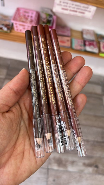 DELINEADOR DE LABIOS CHARM SANIYE (CONSULTAR TONOS)