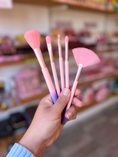 SET DE BROCHAS X5 BICOLOR