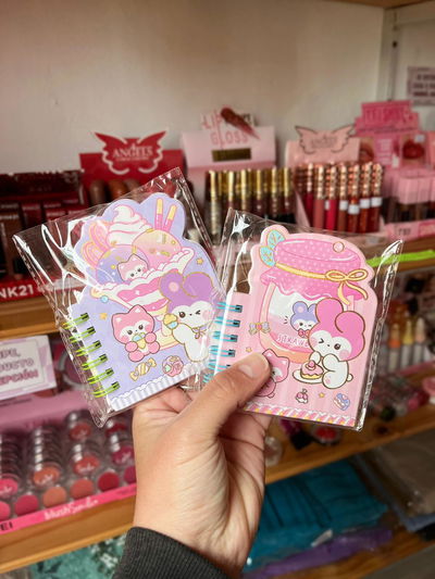 MINI LIBRETAS SANRIO