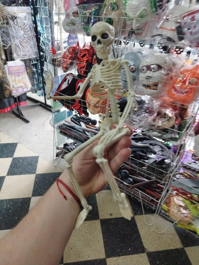 ESQUELETO ARTICULADO PLASTICO MEDIANO