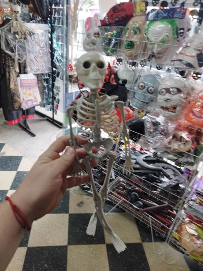 ESQUELETO PLASTICO MEDIANO