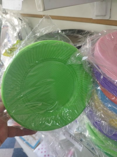 Plato Grande Verde Claro x25u