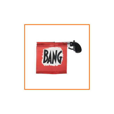 PISTOLA BANG