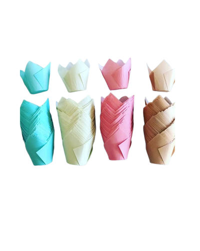 PACK PIROTIN TULIPA x50u