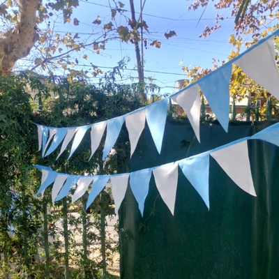 Banderines de ARGENTINA! 20 tiras de 3mts c/u
