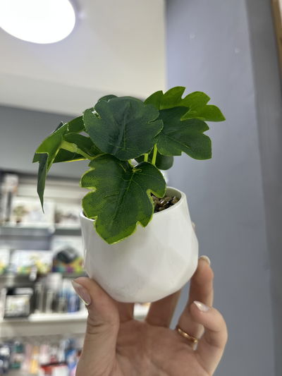 Mini planta artificial Deco 02