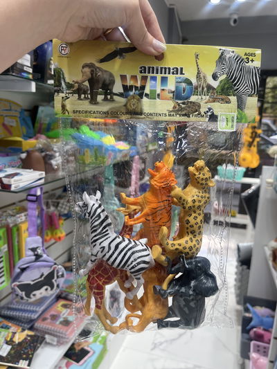 Set 6 animal Wild Grande