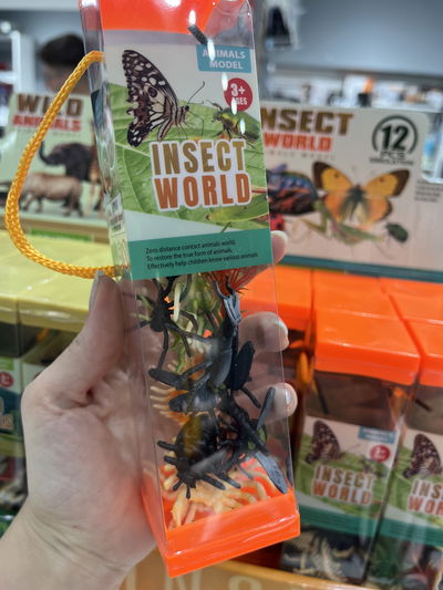 Set insectos Insect World