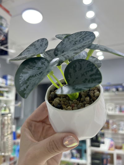 Mini planta artificial Deco 03