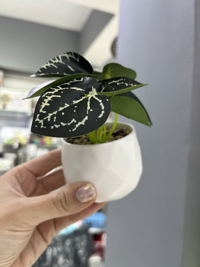 Mini planta artificial en maceta Deco 01