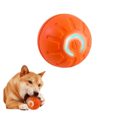 Pelota interactiva para Perros