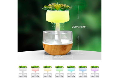 Humidificador MACETA