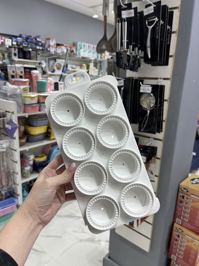 Sorrentinera plastica 