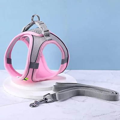 Set Arnés + Correa para Gatos y Perros Pequeños