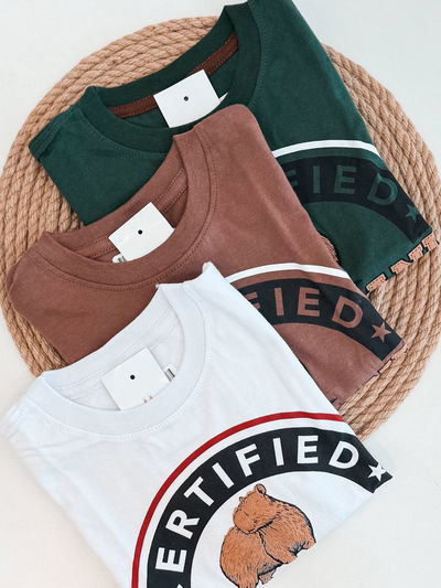 Remera M/L Capybara