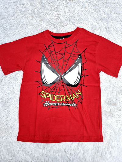 REMERA ANIMADA SPIDERMAN