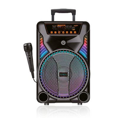 Parlante 12'' 20W + Microfono + Control Marca XAEA
