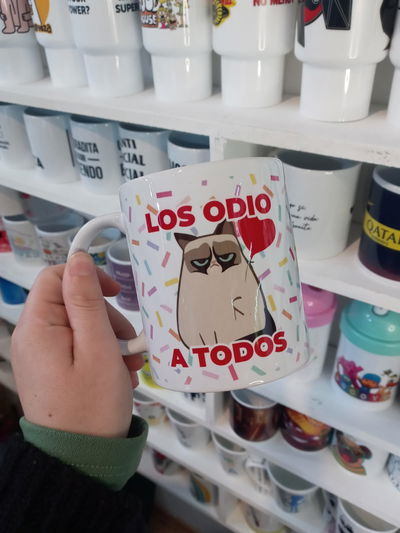 Taza de cerámica, Los odio a todos