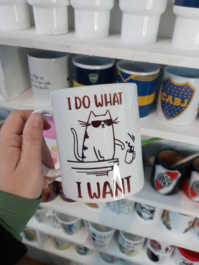 Taza de cerámica, Michi I DO WHAT I WANT