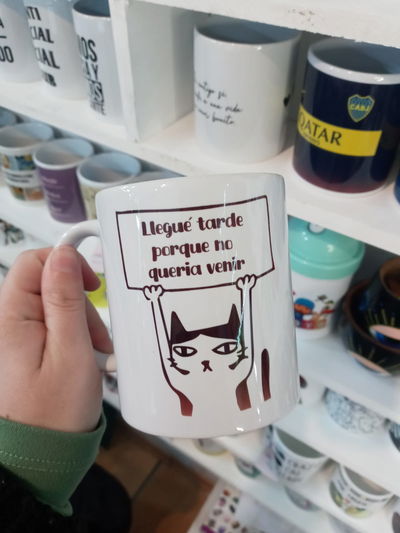 Taza de cerámica, Michi Llegué tarde porque no queria venir
