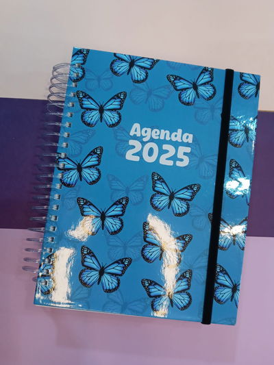 Agenda docente 2025