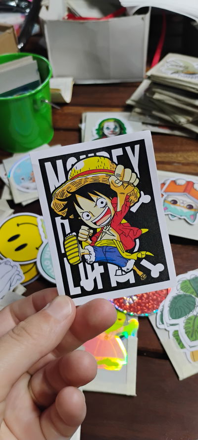 Vinilo one piece2