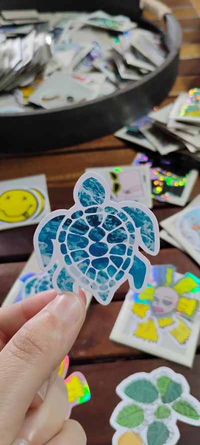 Vinilo tortuga