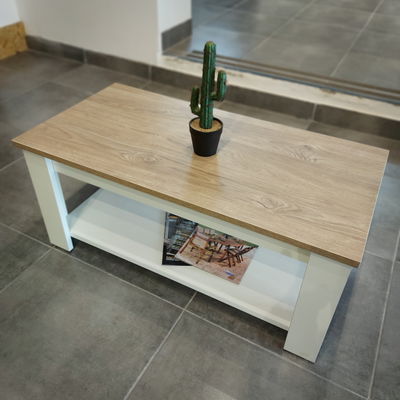 Mesa ratona 02