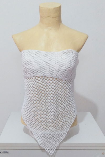 Desi Nieve