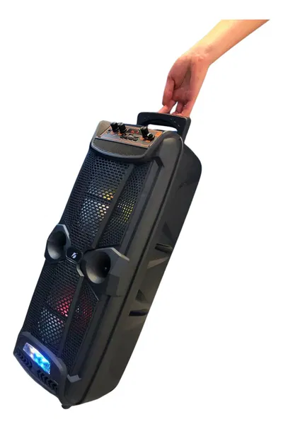 Parlante Inalambrico Karaoke Microfono Portatil 2x8