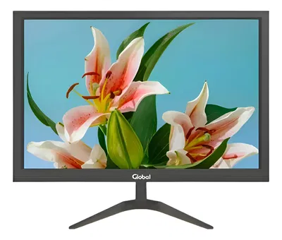 MONITOR GLOBAL 19 PULGADAS