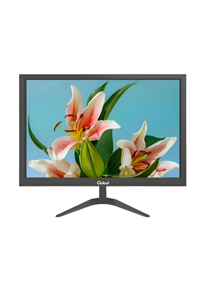 MONITOR GLOBAL 19 PULGADAS