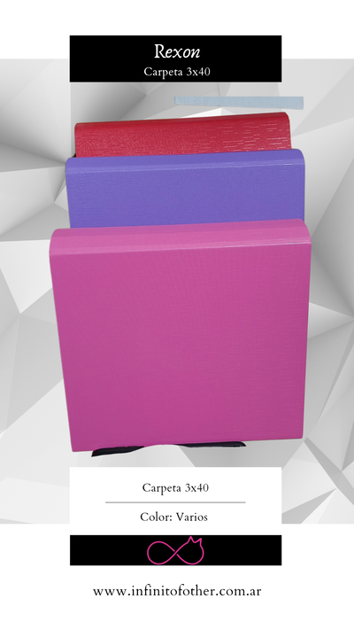 CARPETA REXON 3X40 COLORES