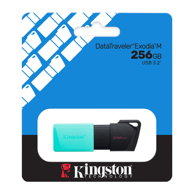 Pendrive Kingston Exodia M 256GB USB 3.2 Negro DTXM256GB