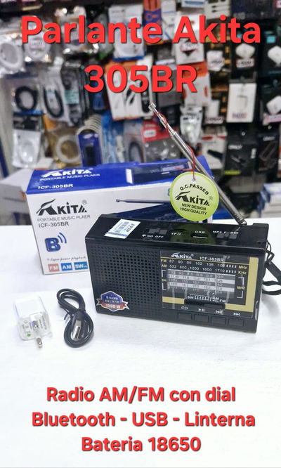 Parlante Bluetooth Radio AM/FM Akita 305BR