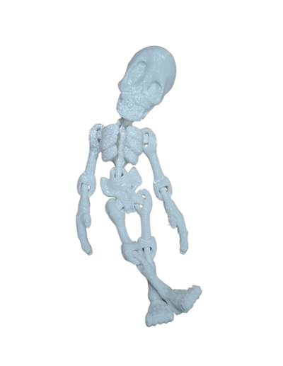 ESQUELETO LARGO ARTICULADO