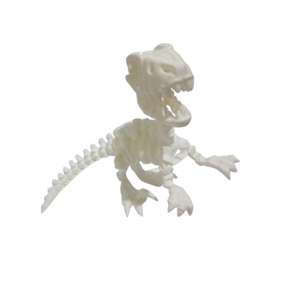 DINOSAURIO ESQUELETO VELOCIRAPTOR ARTICULADO