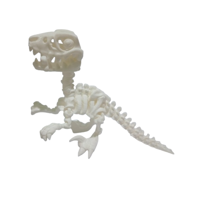 DINOSAURIO ESQUELETO VELOCIRAPTOR ARTICULADO CON HUESO