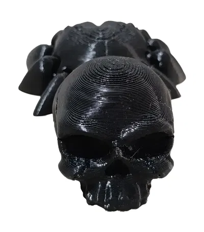 ARAÑA ARTICULADA CON ABDOMEN CALAVERA