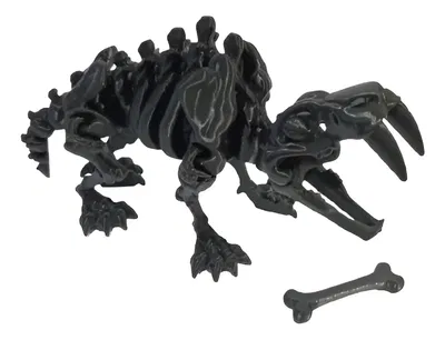 DIENTES DE SABLE ESQUELETO ARTICULADO CON HUESO