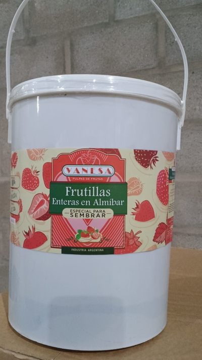 FRUTILLA PARA SEMBRAR VANESA X 10KG