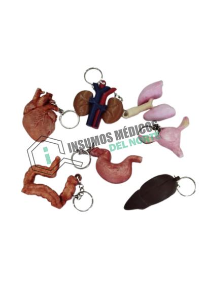 Llaveros de Organos