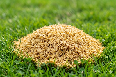 Cascarilla de arroz 