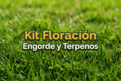 Kit Floración 