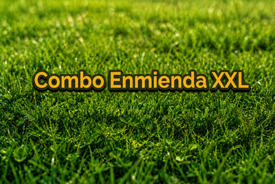 COMBO ENMIENDA XXL