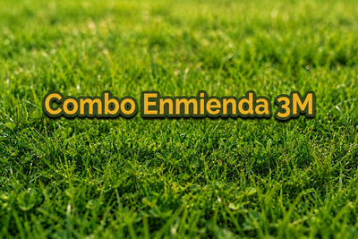 COMBO ENMIENDA 3M