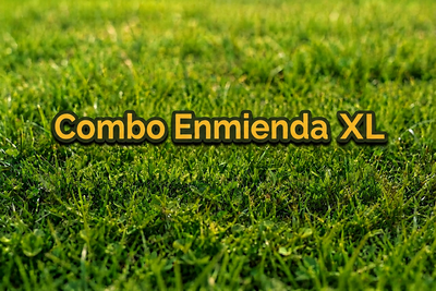 COMBO ENMIENDA XL