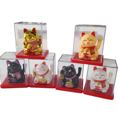 Gato de la fortuna solar CHICO en cubo transparente